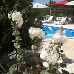 Ana