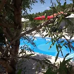 Ana Villa *