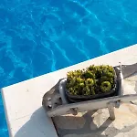 Ana Villa Umljanovic