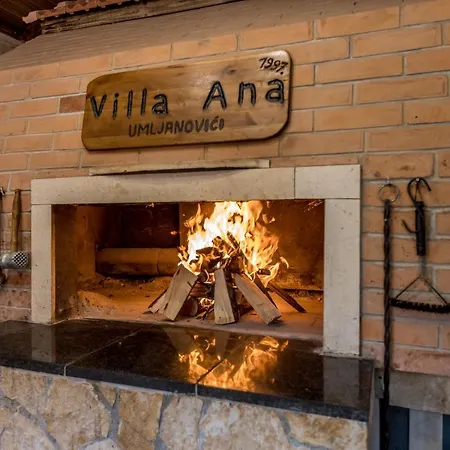 Ana Villa *