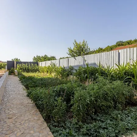 Ana Villa Umljanovic