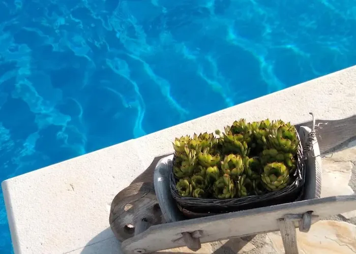 Ana Willa Umljanovic